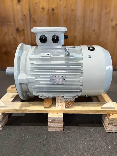 Silnik elektryczny-M3 160M T3C-15 kW-2pol-B5 